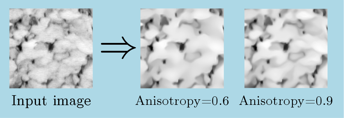 anisotropicDiffusion2dImg_anisotropy.png