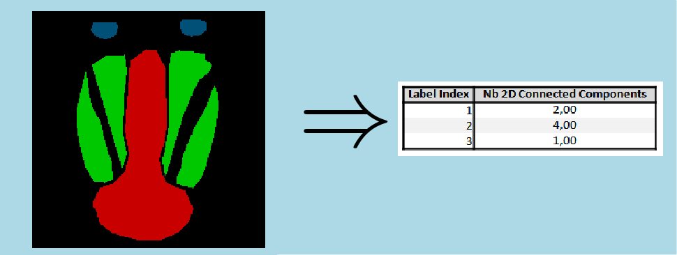 nbConnectedComponents2dMsr.png
